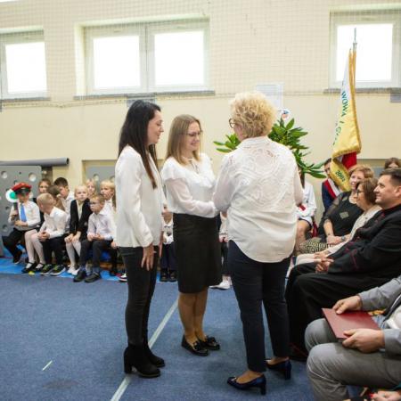 Wyświetl org. rozmiar