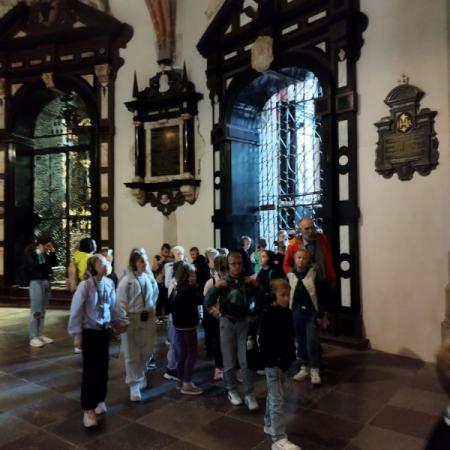 Wyświetl org. rozmiar