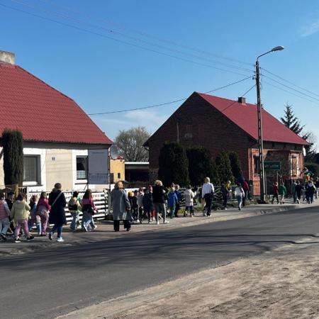 Wyświetl org. rozmiar