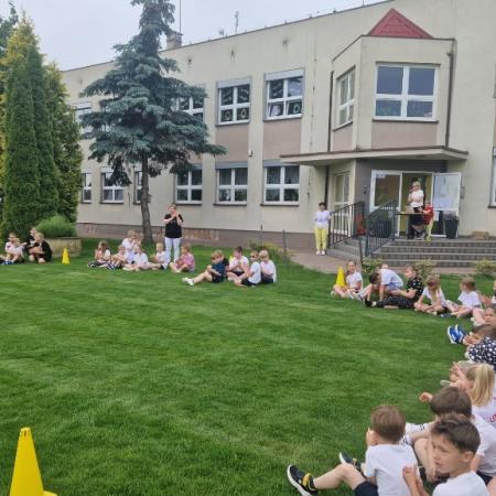 Wyświetl org. rozmiar